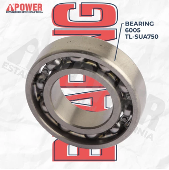 BEARING 6005